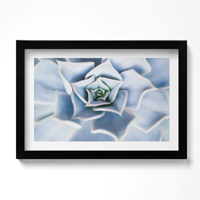 Kép keretben Növény virág