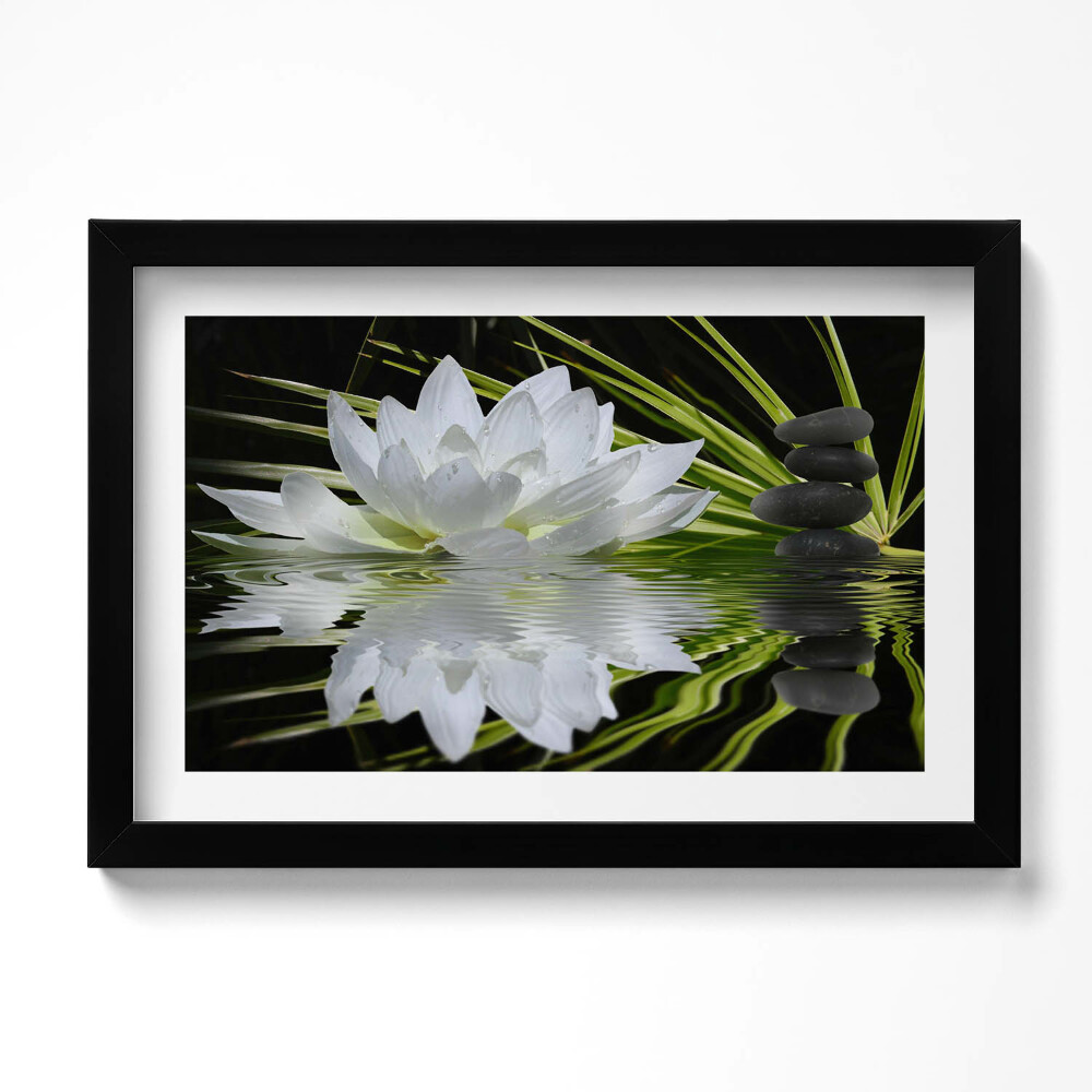 Keretezett kép Vízililiom és levelek