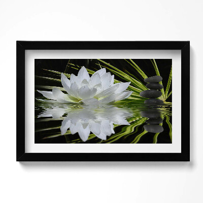 Keretezett kép Vízililiom és levelek