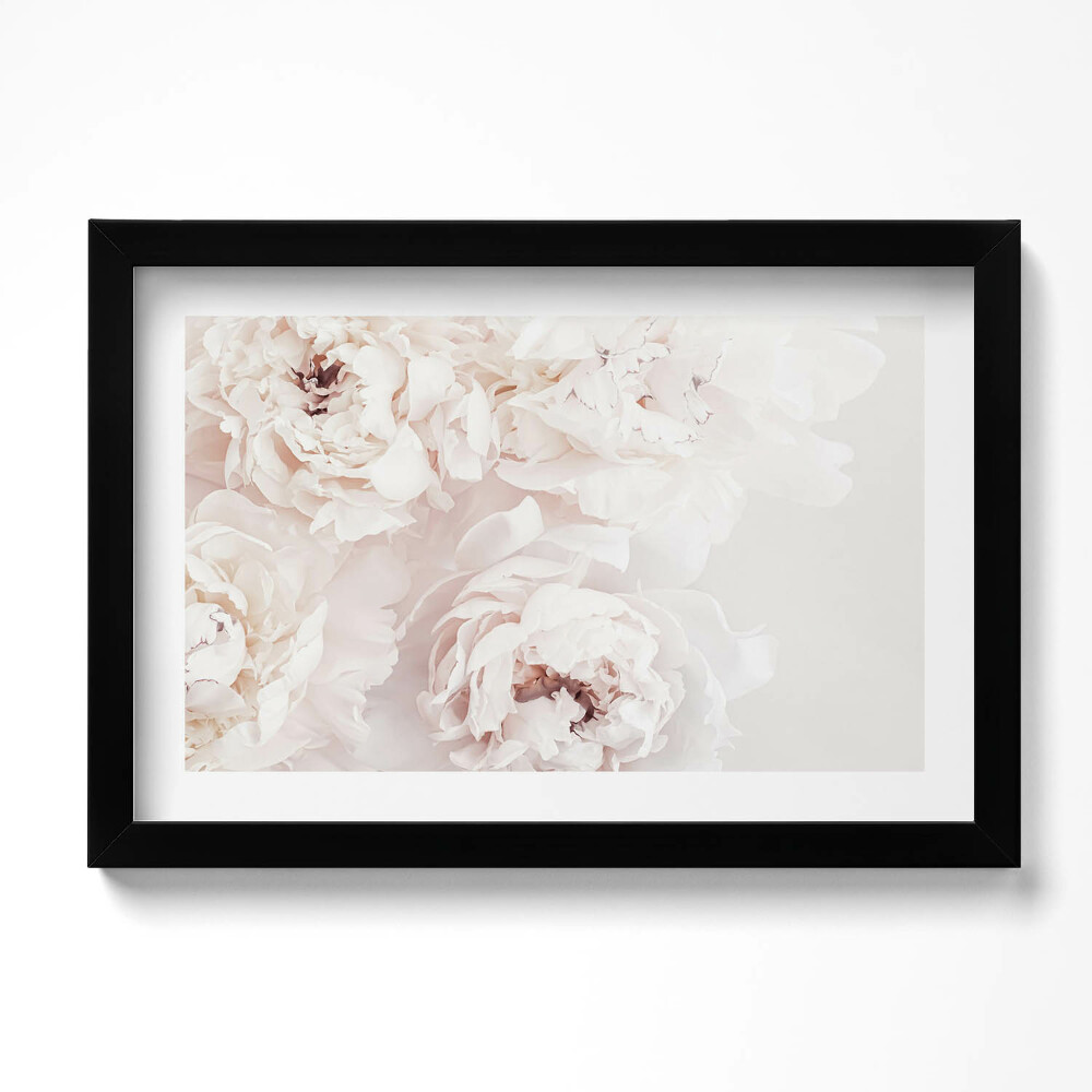 Kép keretben Pasztell bazsarózsa