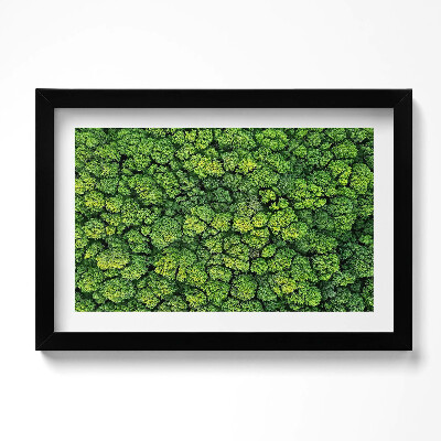 Keretezett kép Természet moha növények