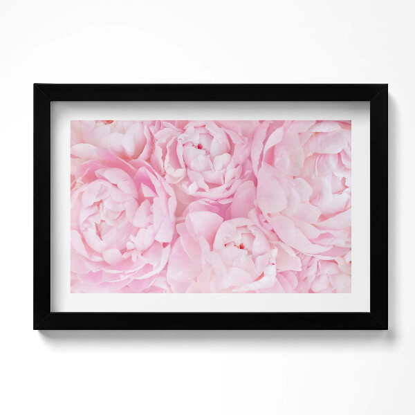 Keretezett kép Finom bazsarózsák