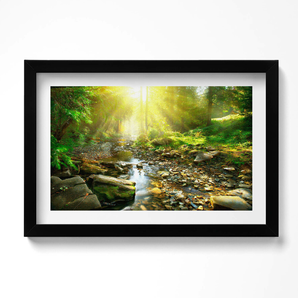 Keretezett kép Erdei patak napsütésben
