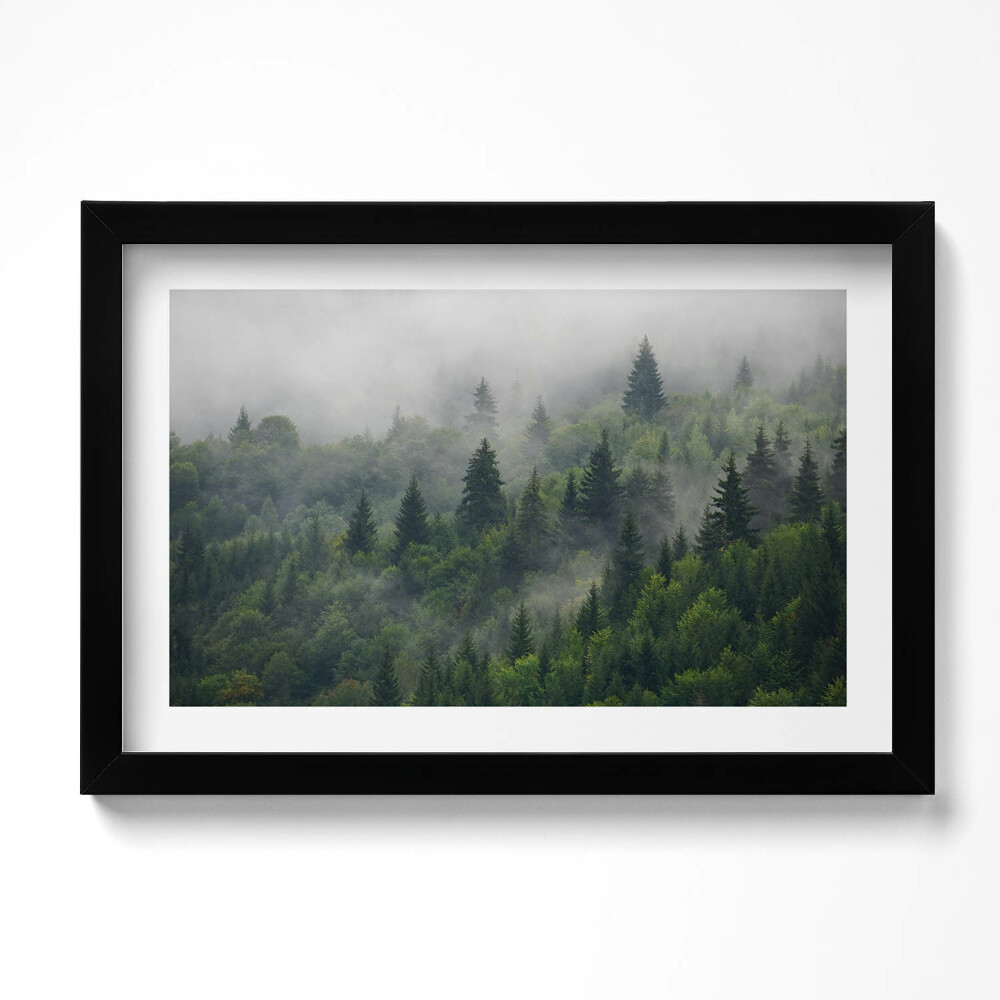 Kép keretben Erdei táj a ködben köd