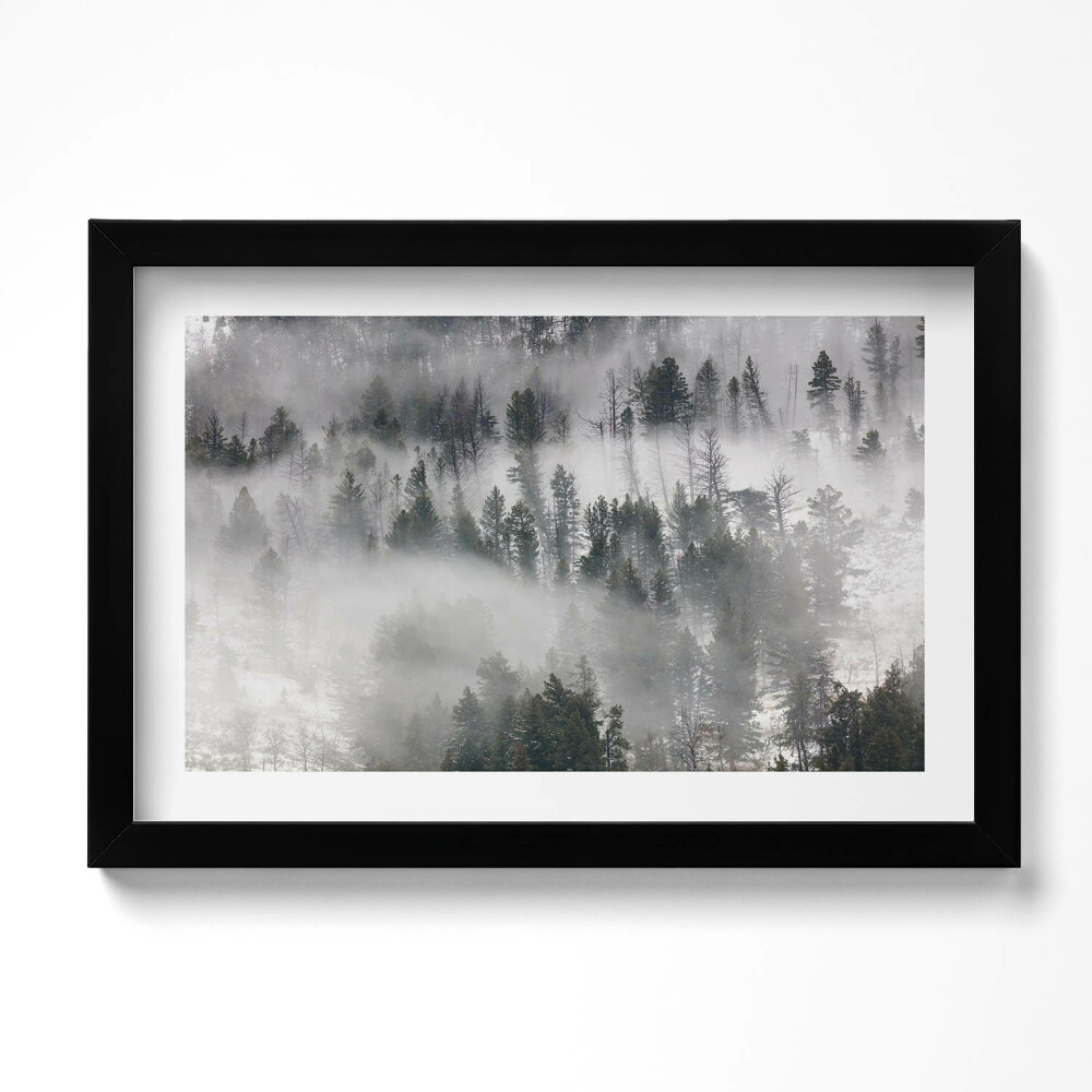 Kép keretben Ködös erdei táj