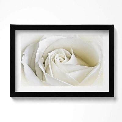 Kép keretben Finom fehér rózsaszirmok