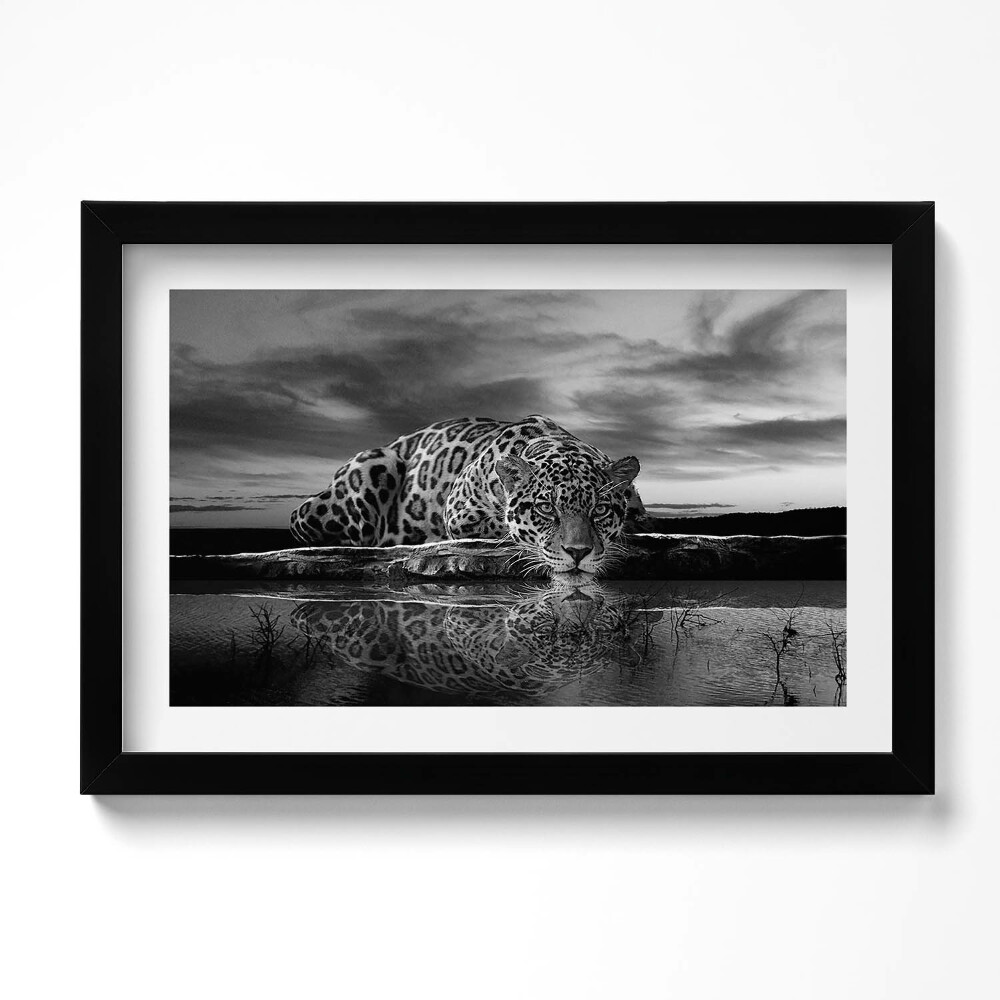 Kép keretben Fekete-fehér leopárd vadállat