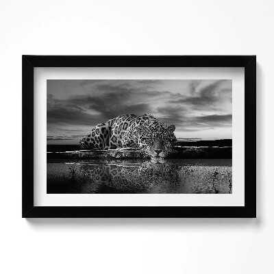 Kép keretben Fekete-fehér leopárd vadállat