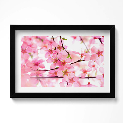 Kép keretben Rózsaszín tavaszi virágok ágakon