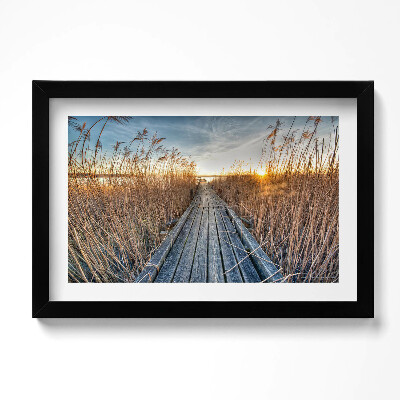 Keretezett kép Faút az utak között tart