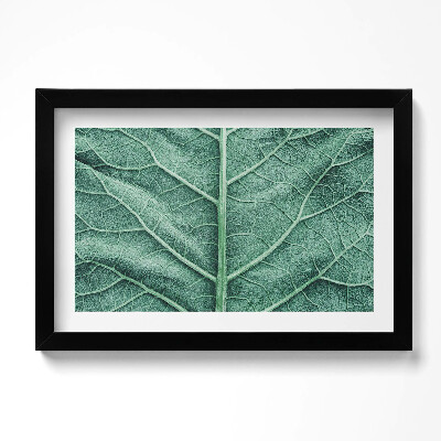 Kép keretben Közelkép egy levél erezetéről