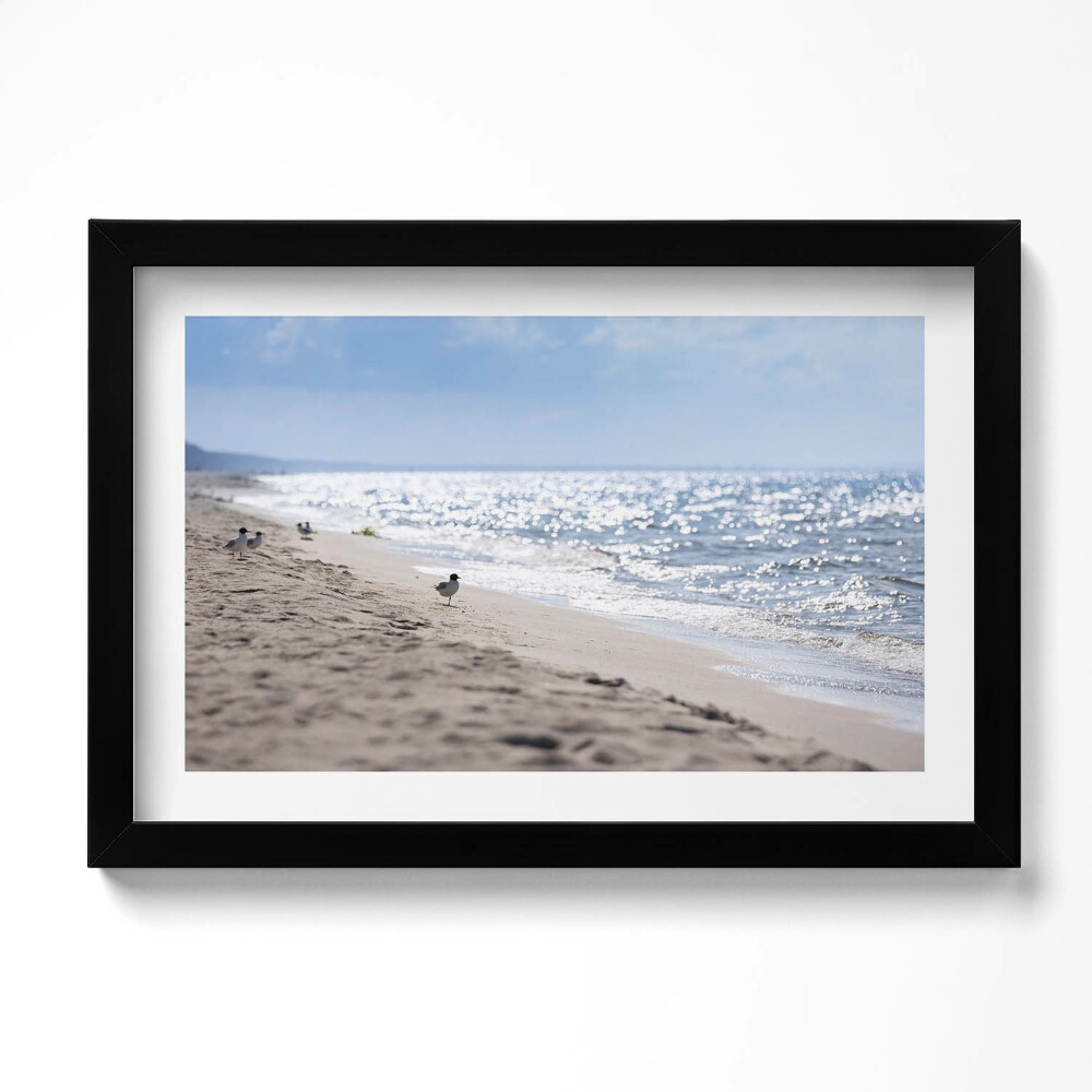 Keretezett kép Tengeri hullámok és egy madár a tengerparton