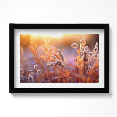 Keretezett kép Boho füvek napfelkeltekor