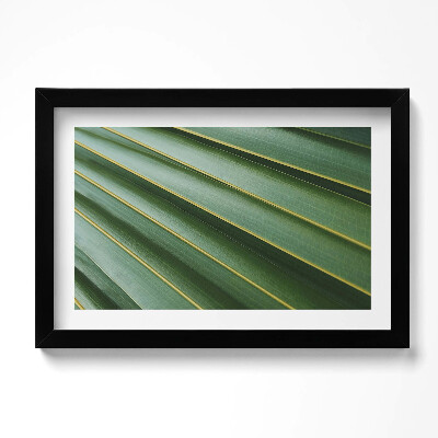 Kép keretben Zöld növények textúrája