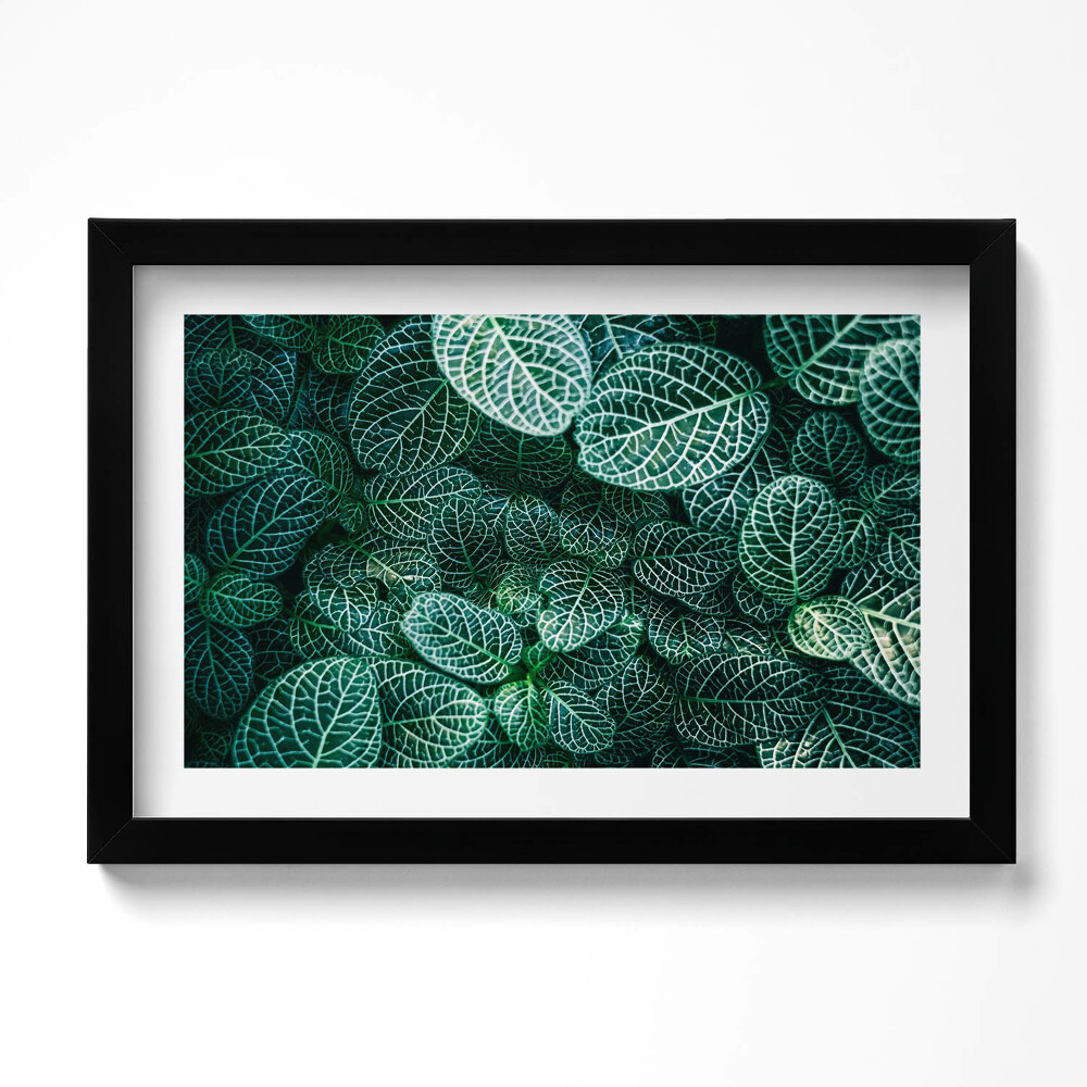 Kép keretben Zöld vad levelek