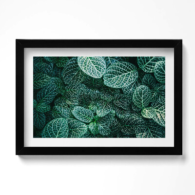 Kép keretben Zöld vad levelek