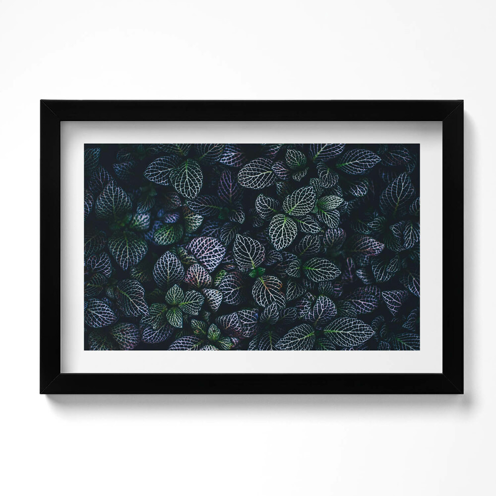 Keretezett kép Sötét vad levelek