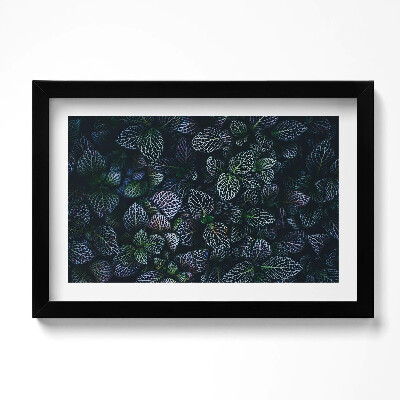 Keretezett kép Sötét vad levelek