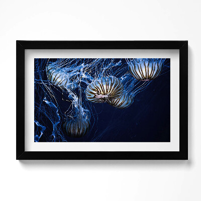 Keretezett kép Kék medúza a vízben