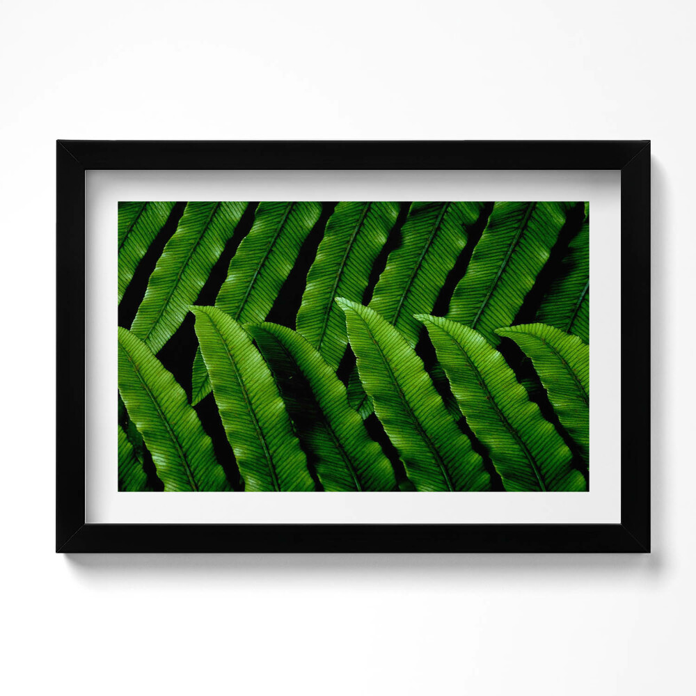 Kép keretben Zöld levelek közelkép