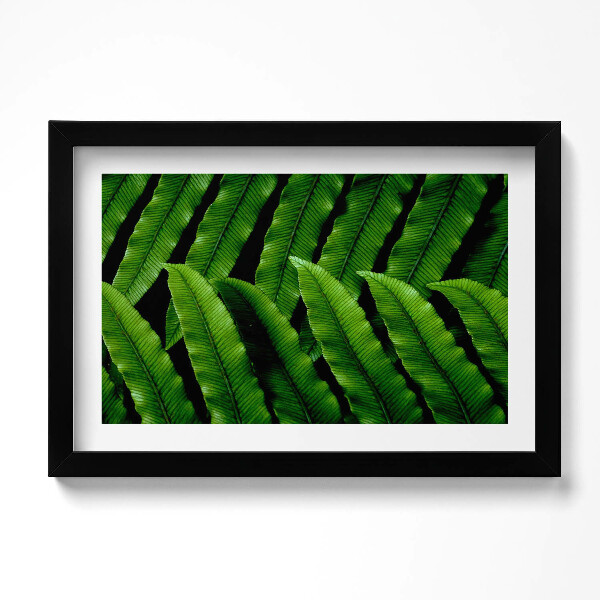 Kép keretben Zöld levelek közelkép