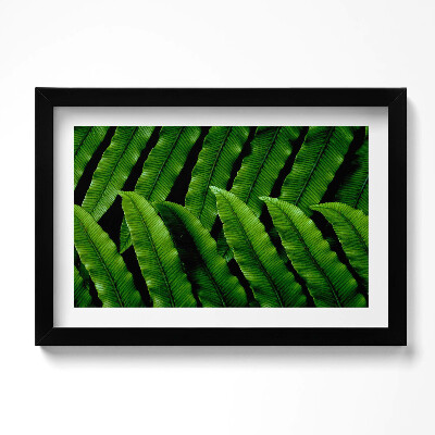 Kép keretben Zöld levelek közelkép