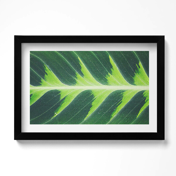 Keretezett kép Egy levél textúrája és erezete