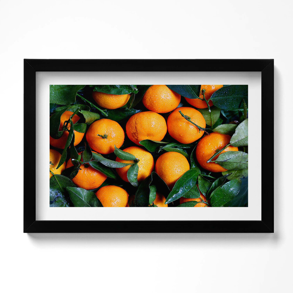 Kép keretben Érett olasz narancsok