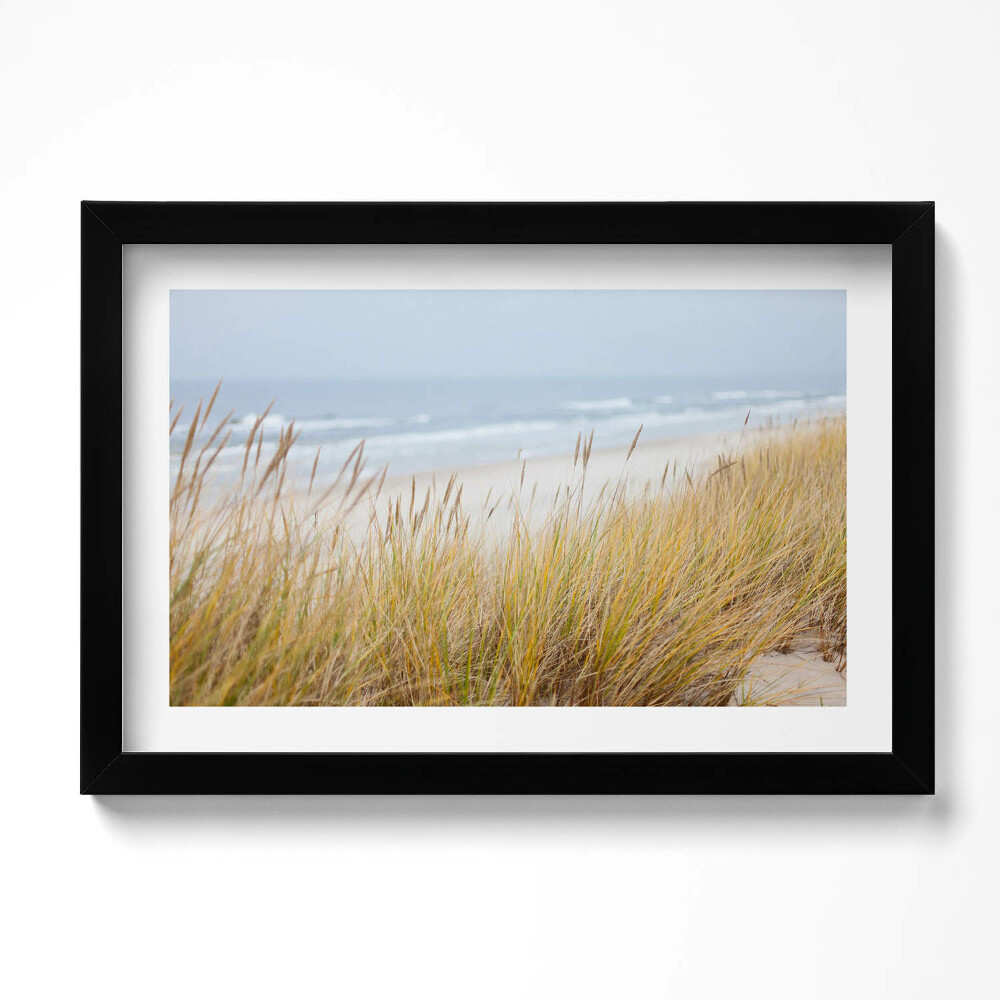 Keretezett kép Tengerparti tengerparti táj és füvek