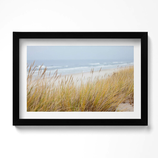 Keretezett kép Tengerparti tengerparti táj és füvek