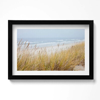 Keretezett kép Tengerparti tengerparti táj és füvek