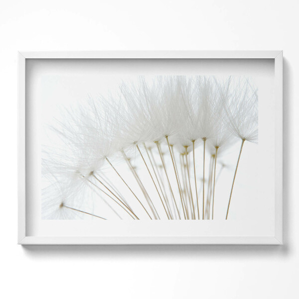 Kép keretben Puhaszálú növények csoportja