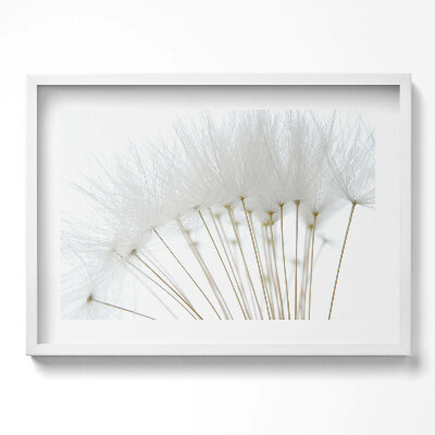 Kép keretben Puhaszálú növények csoportja