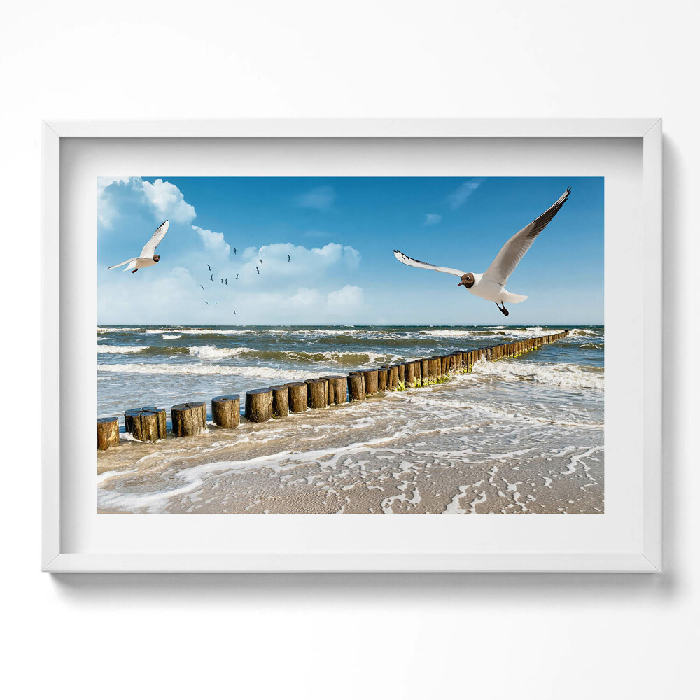 Kép keretben Tengerparti táj madarak hullámok