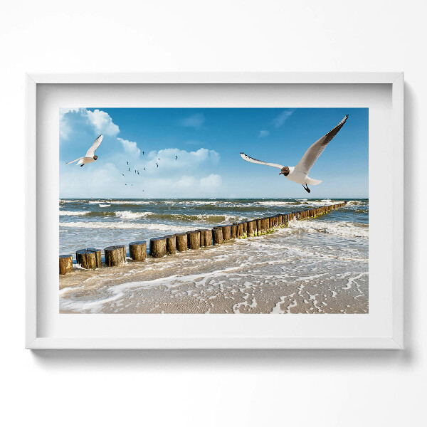 Kép keretben Tengerparti táj madarak hullámok