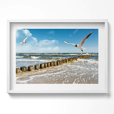 Kép keretben Tengerparti táj madarak hullámok