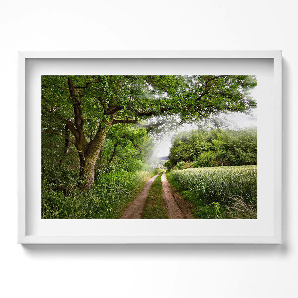 Kép keretben Zöld dombos táj keskeny ösvény