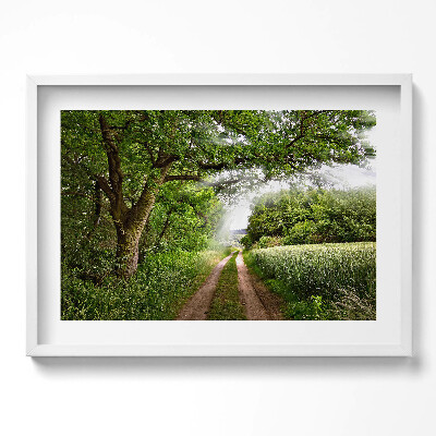 Kép keretben Zöld dombos táj keskeny ösvény