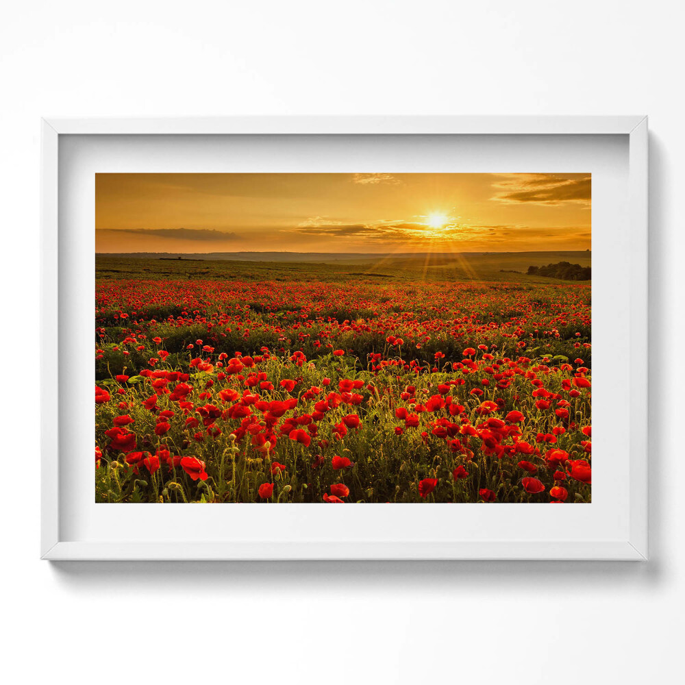 Kép keretben Vörös pipacsmező naplementében