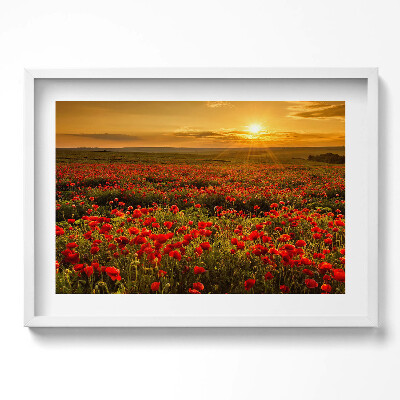 Kép keretben Vörös pipacsmező naplementében