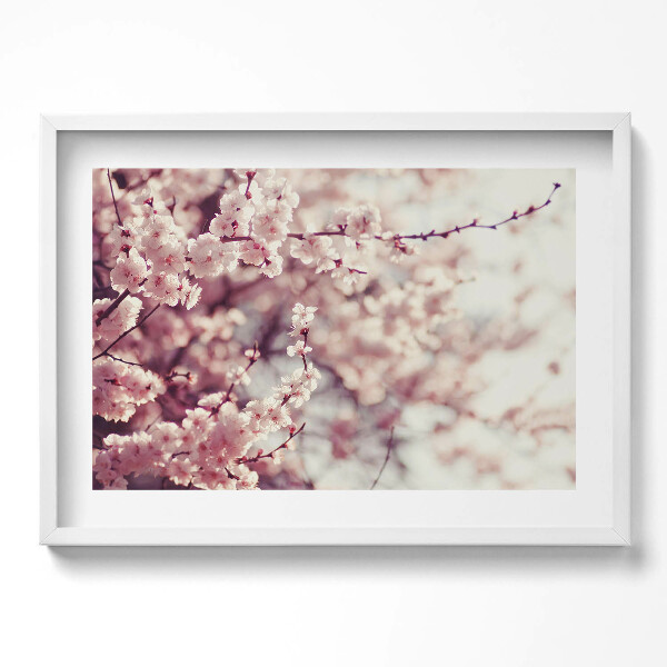 Kép keretben Virágzó cseresznyeágak