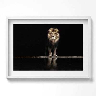 Kép keretben Oroszlán tükörképe sötét háttérrel