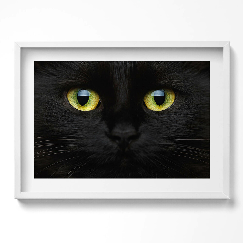 Kép keretben Fekete macska arca zöld szemekkel