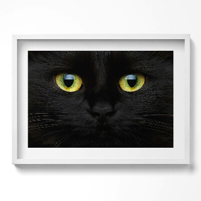 Kép keretben Fekete macska arca zöld szemekkel