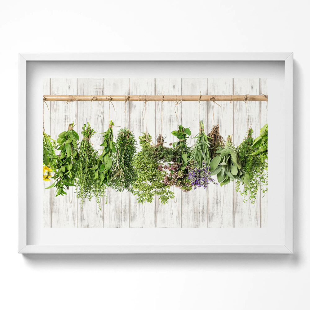 Kép keretben Friss fűszernövények lógatva