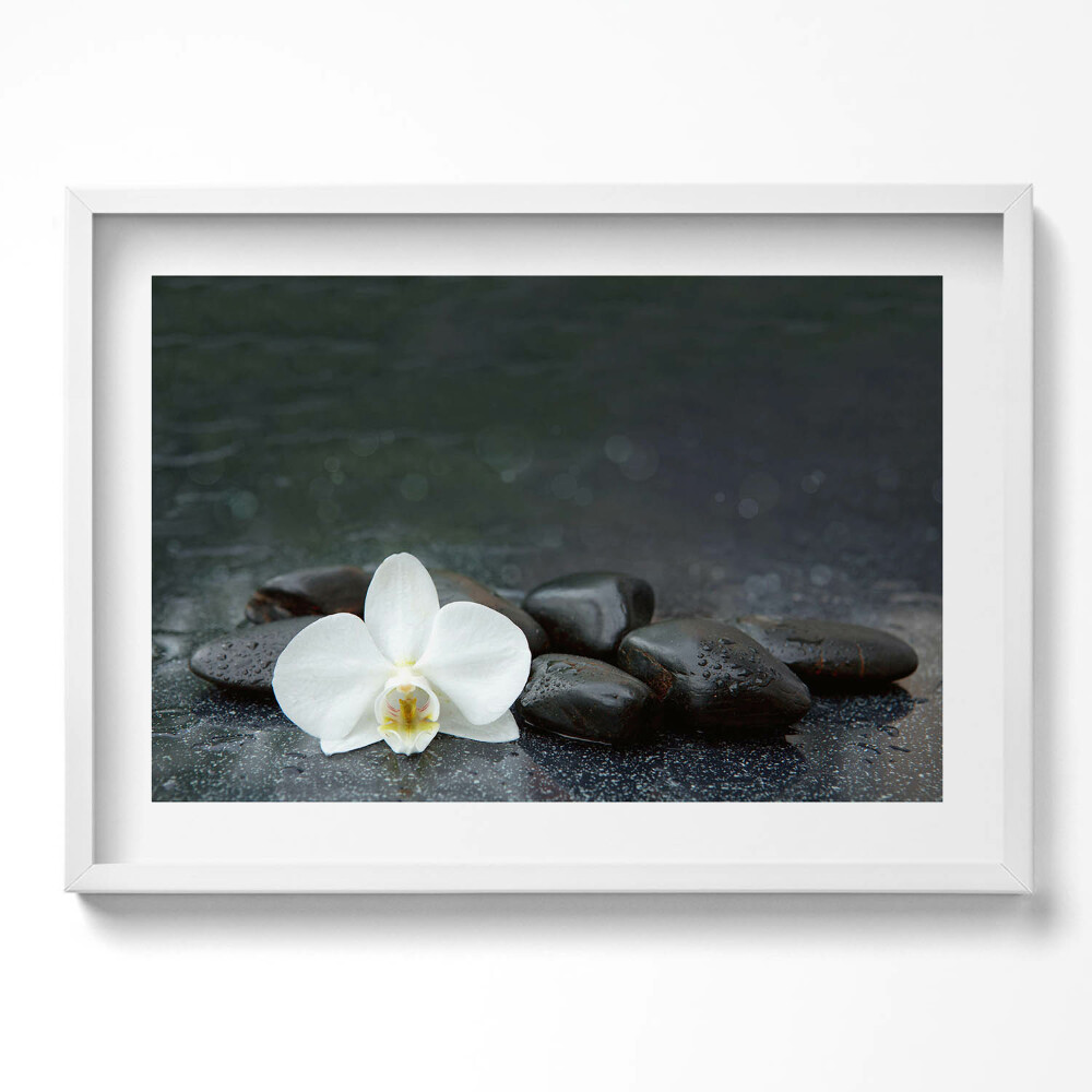 Kép keretben Fehér virág és sima kövek