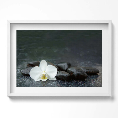 Kép keretben Fehér virág és sima kövek
