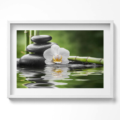 Kép keretben Kavicsok víz virág