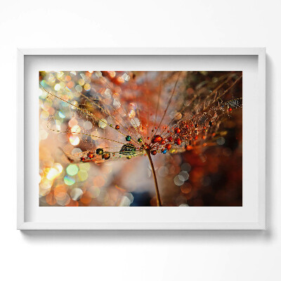 Kép keretben Vizes cseppekkel díszített növényi levél