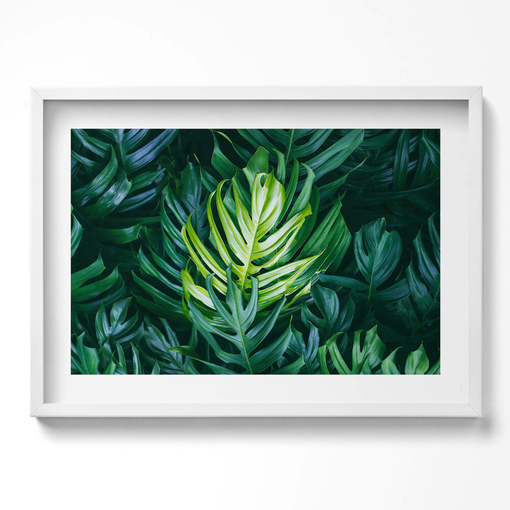 Kép keretben Zöld levelek természetes motívum